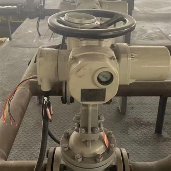 Electric gate valves for power plant, flexible wedge, OS&Y
