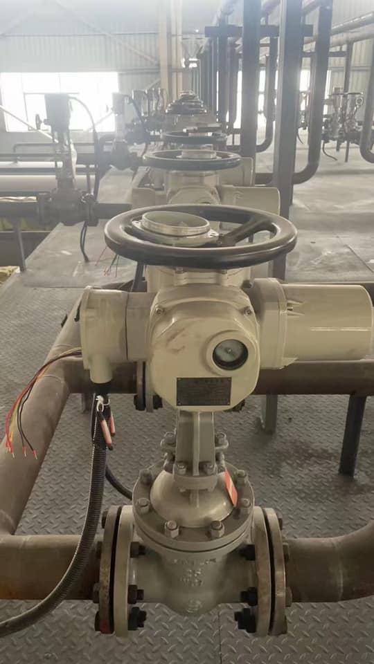 Electric gate valves for power plant, flexible wedge, OS&Y