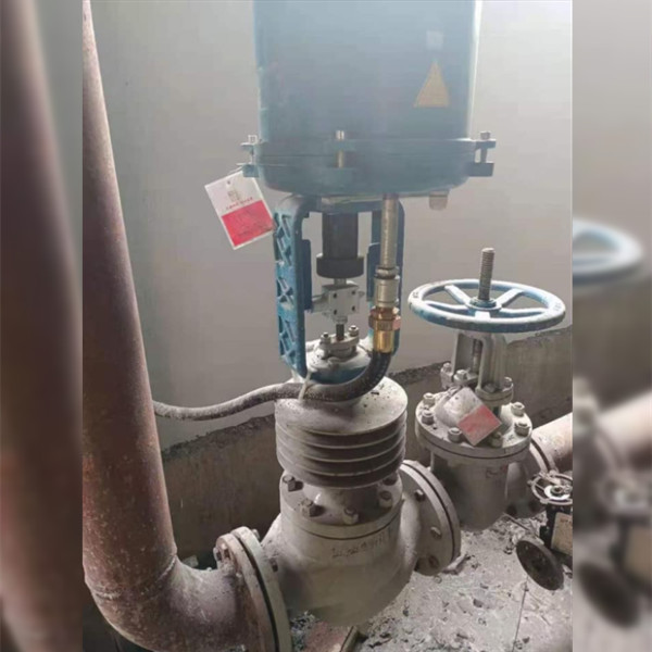  cage type globe valves，tightness class V, motorized